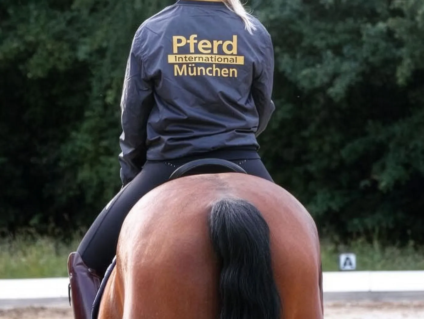 Identity Edition für Pferde International München Identity Edition für Pferde International München