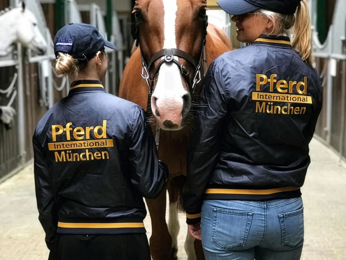 Identity Edition für Pferde International München Identity Edition für Pferde International München