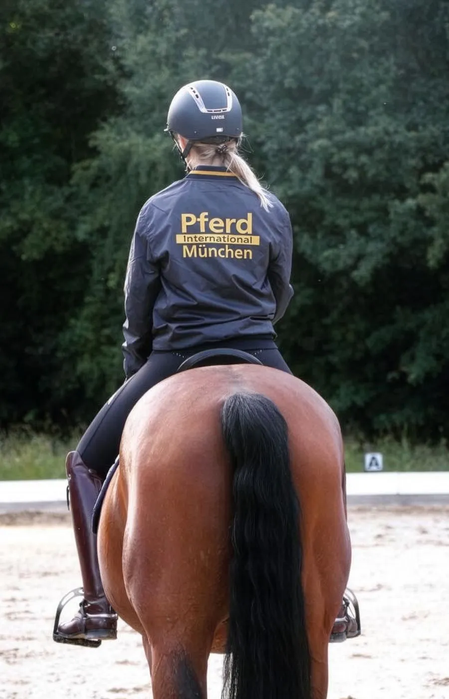 Identity Edition für Pferde International München Identity Edition für Pferde International München