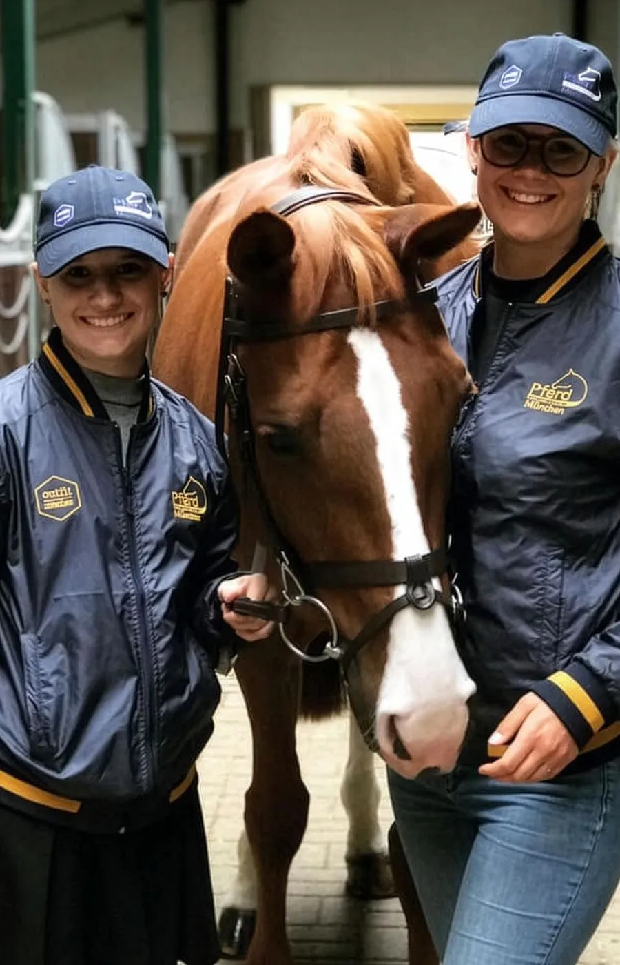 Identity Edition für Pferde International München Identity Edition für Pferde International München