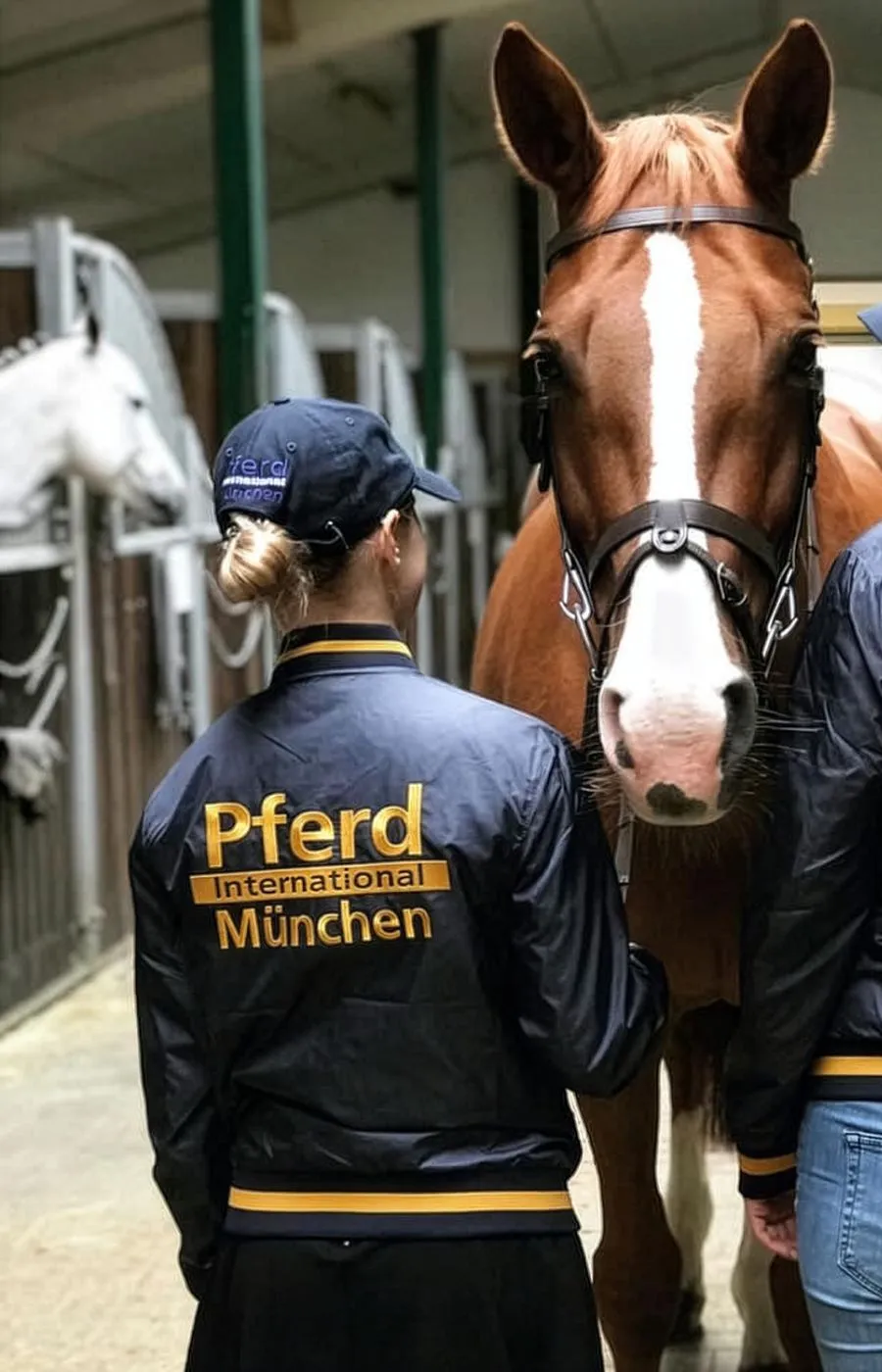 Identity Edition für Pferde International München Identity Edition für Pferde International München