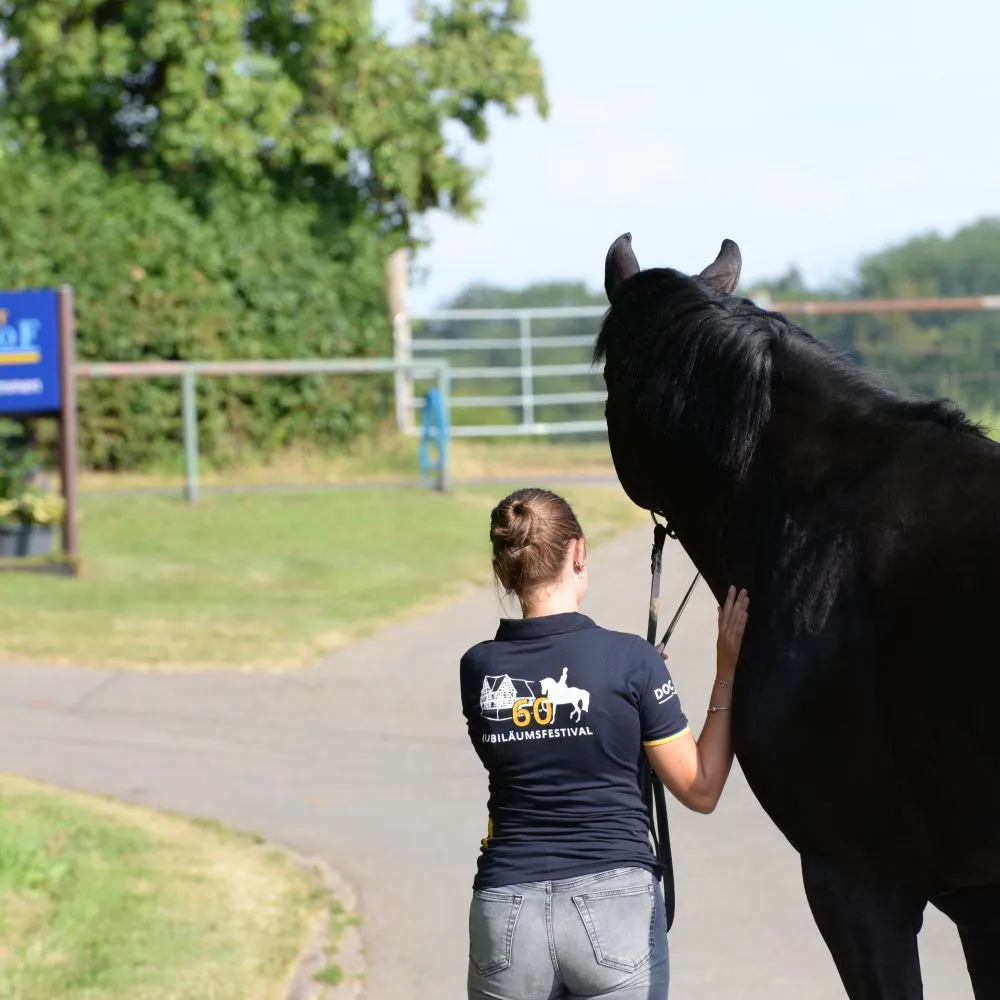 Identity Essentials für Gestüt Birkhof